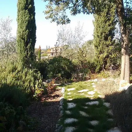 Alla Pieve Casole dʼElsa